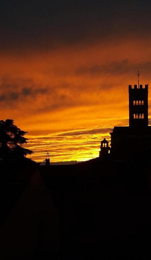 La Terrazza Fra Le Torri Lejlighed Lucca Eksteriør billede