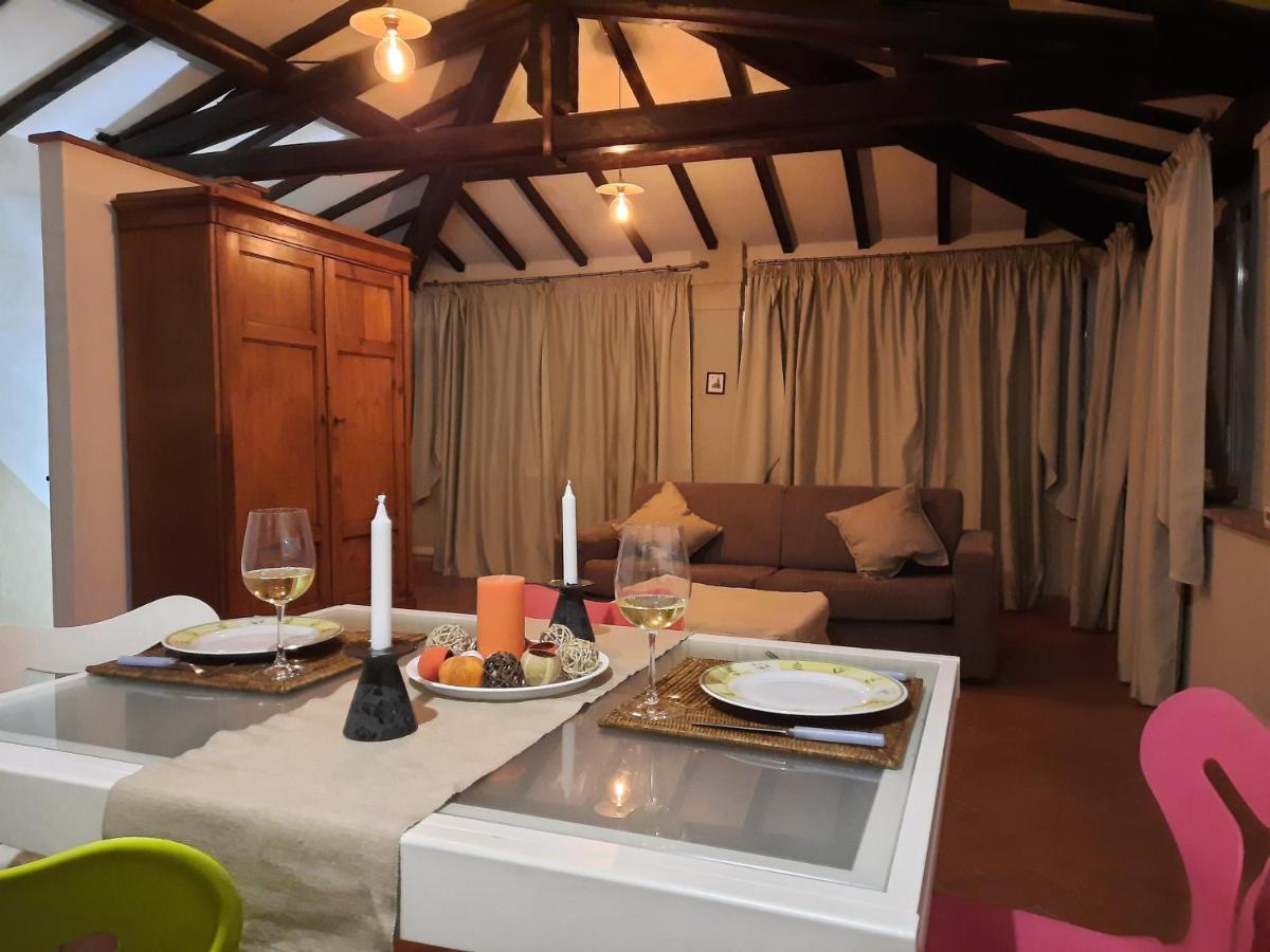 La Terrazza Fra Le Torri Lejlighed Lucca Eksteriør billede