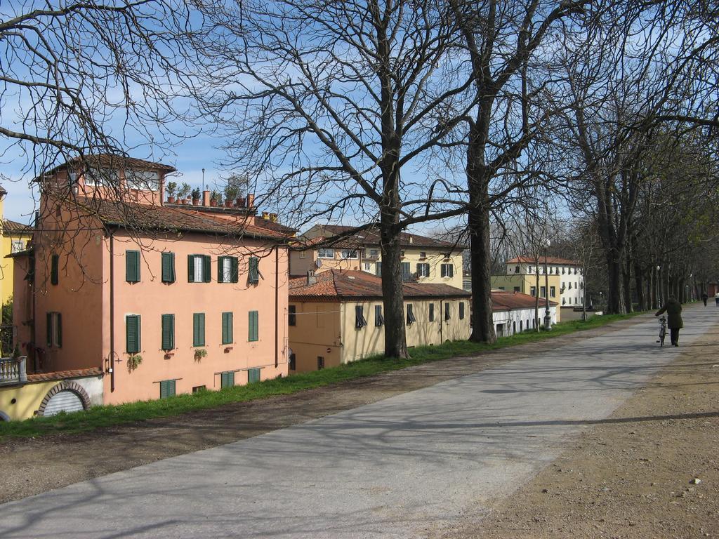 La Terrazza Fra Le Torri Lejlighed Lucca Eksteriør billede